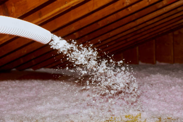 Best Eco-Friendly Insulation in Shelbyville, TN