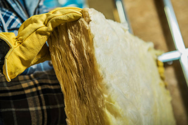 Best Geographic-Specific Insulation Services in Shelbyville, TN