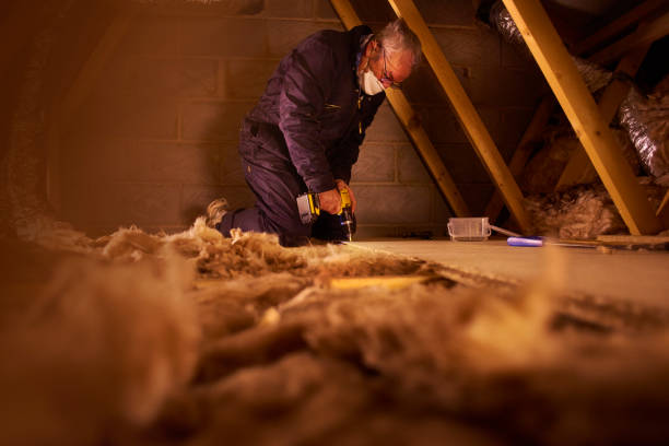 Best DIY Insulation Kits and Guidance in Shelbyville, TN